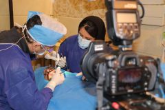 Maxillary Sinus Grafting_3