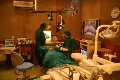 Second Osteology Symposium_103