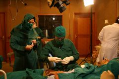 Second Osteology Symposium_106