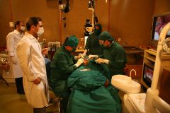 Second Osteology Symposium_115