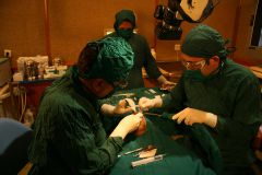 Second Osteology Symposium_116