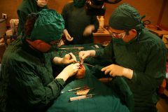 Second Osteology Symposium_117