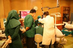 Second Osteology Symposium_118