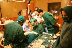 Second Osteology Symposium_121