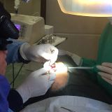 دوره پیشرفته ایمپلنت های فوری و بازسازی زیبایی - شهریور ۹۵