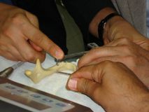 دومین سمپوزیوم SPI مشهد 14 و 15 خرداد 1389